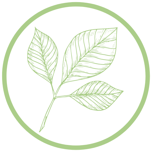 Comprehensive Wellness:  Welcome to Integrum Living!