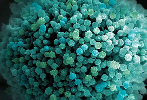 Our Story of Mold Toxicity