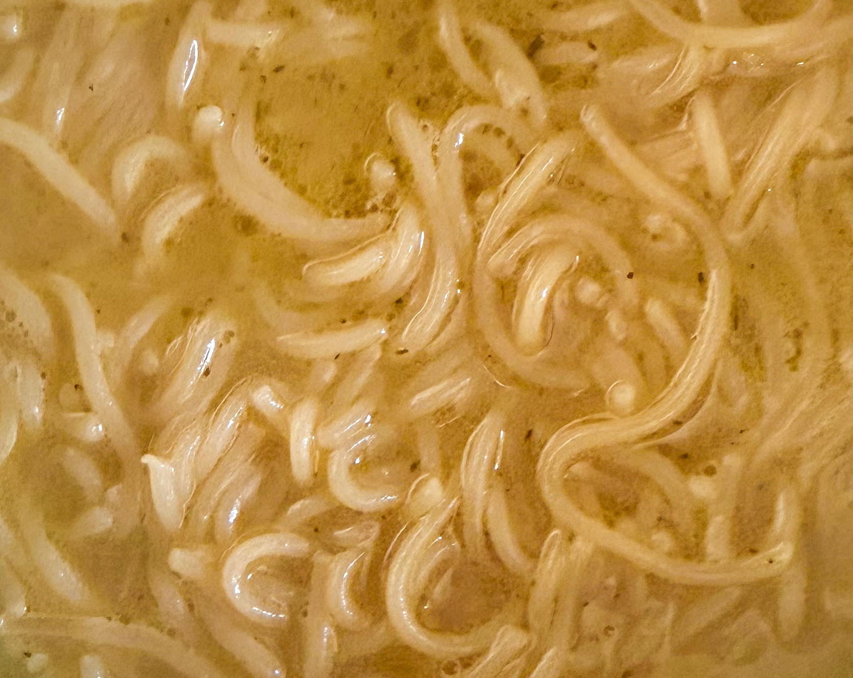 Clean Ramen Noodles for a Better Instant Ramen Fix